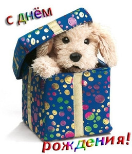 Картинка с собачкой в коробке, которая пришла поздравить с праздником