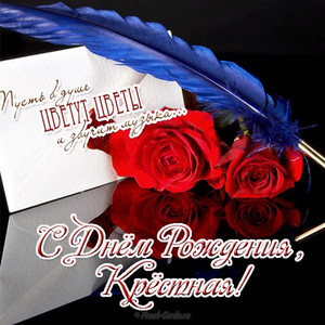 Красные розы с синим пером на черном фоне и письмо с поздравлениями