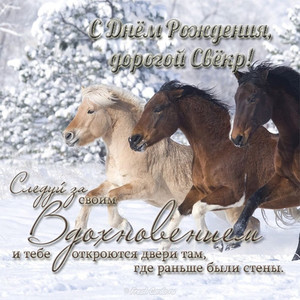 Два коричневых и один белый конь в зимнем лесу для свекра