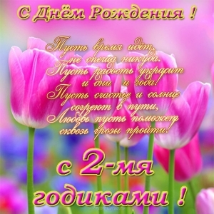 Красочная открытка с яркими розовым тюльпанами в день рождения