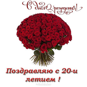 Огромный букет красных роз для девушки в день юбилея 20 лет