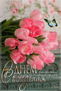 Открытка с букетом розовых тюльпанов и бабочкой для девушки