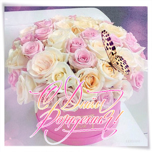 Анимированная картинка с нежным букетом из белых и розовых роз