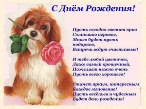 Милая собачка с розой в зубах поздравляет девушку