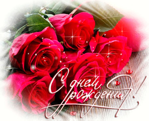 Картинка с красными розами, которые  любит каждая девушка