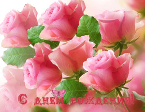 7 розовых роз принесут удачу каждой девушке