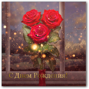Мерцание и розы на окне создают атмосферу чудес