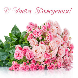 Огромный букет розовых роз для девушки в ее день