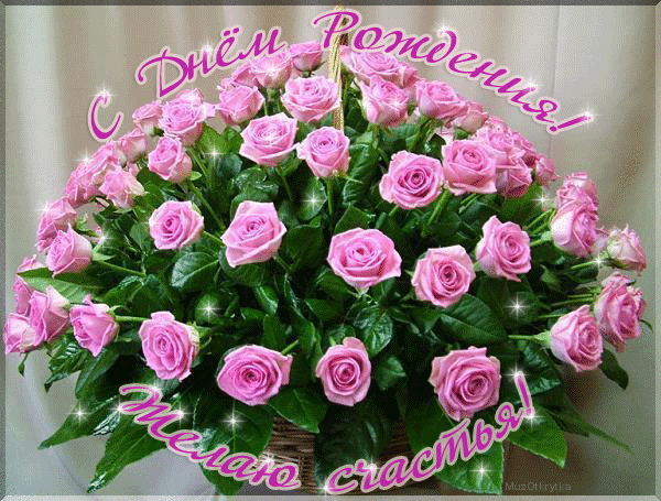 Шикарный букет роз в день рождения женщине 