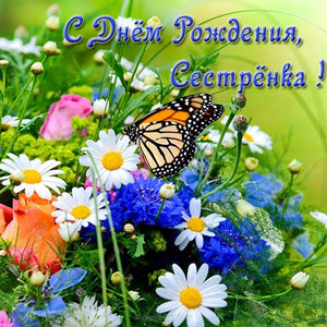 Открытка с бабочкой на полянке с яркими цветочками