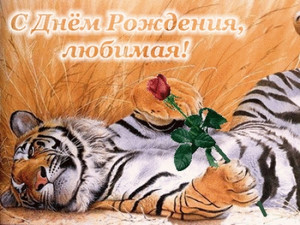 Картинка с изображением тигра с розой в лапе для любимой
