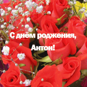 Подборка разнообразных букетов цветов для Антона