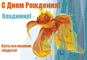 Картинка с золотой рыбкой для Владимира, исполняющая любые пожелания