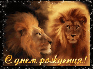 Картинка с чарующим львиным взглядом для неподражаемого Лёвы