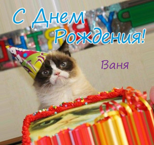 Картинка с котиком для Вани с днем рождения