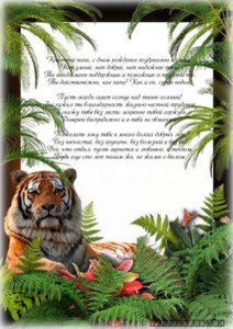 Гордый красивый тигр в зарослях джунглей и поздравления для крестного