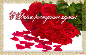 Букет красных роз и лепестки под ними на белом фоне в день рождения