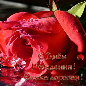 Красная бархатная роза с кристаликами в честь дня рождения свахи