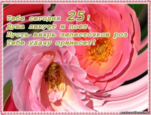 Розовые распустившиеся розы в честь юбилея 25 лет девушке