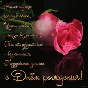 Гиф-открытка с розовой розой на черном фоне и красивыми строками